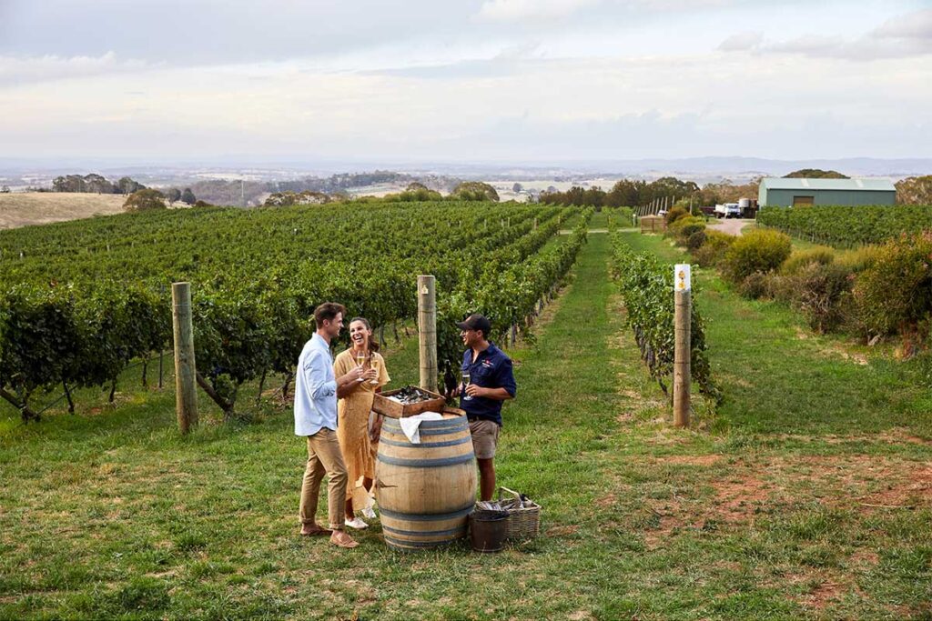 Couple enjoying Swift Sparkling Wine and oysters with scenic views across Printhie Wines vineyard in Nashdale, near Orange.