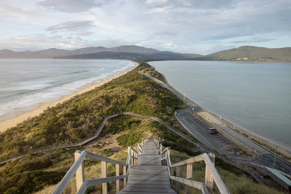 The Neck - Bruny Island
